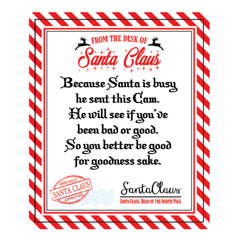 Christmas Santa Cam