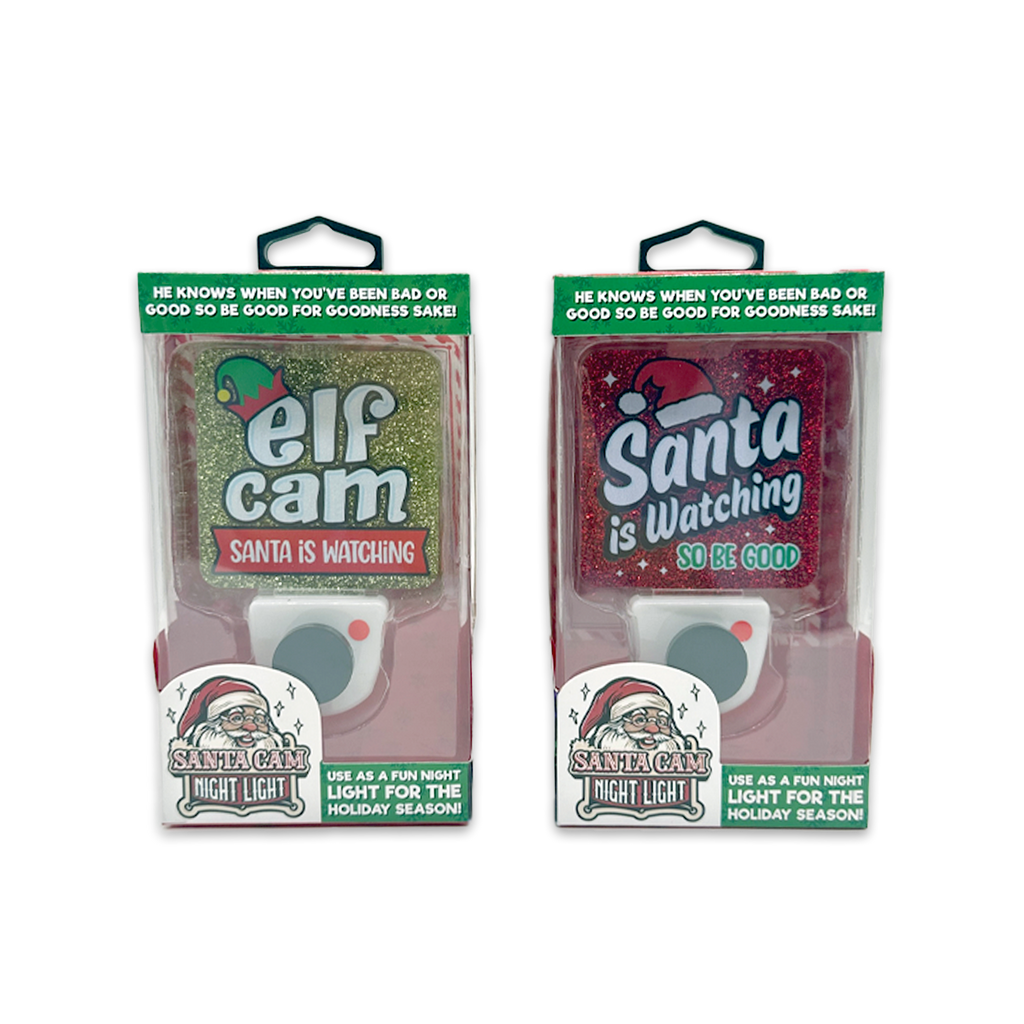 Christmas Santa Cam