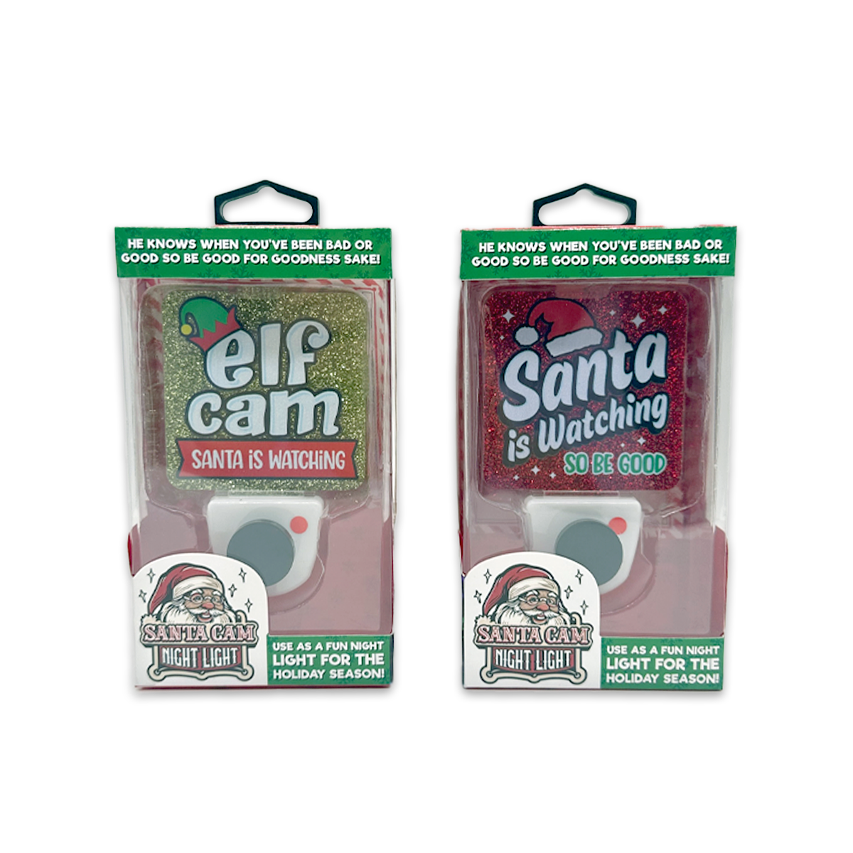 Christmas Santa Cam