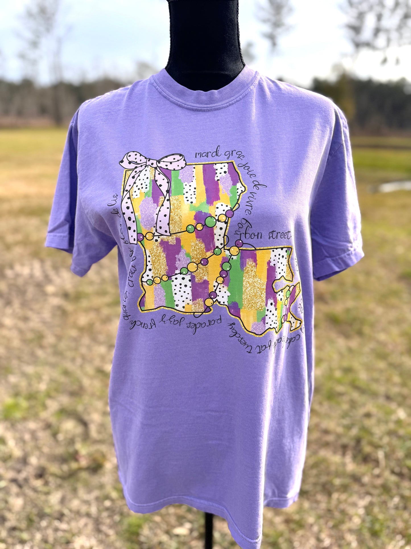 Louisiana Mardi Gras Graphic