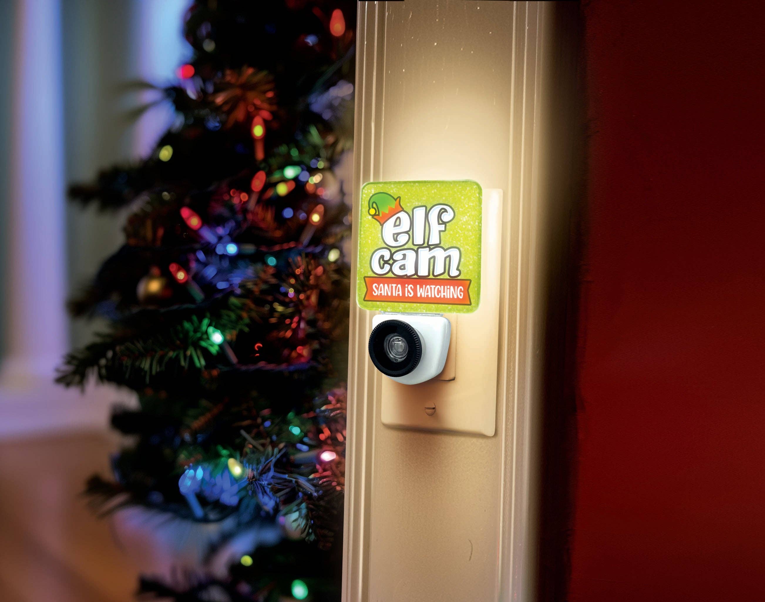 Christmas Santa Cam